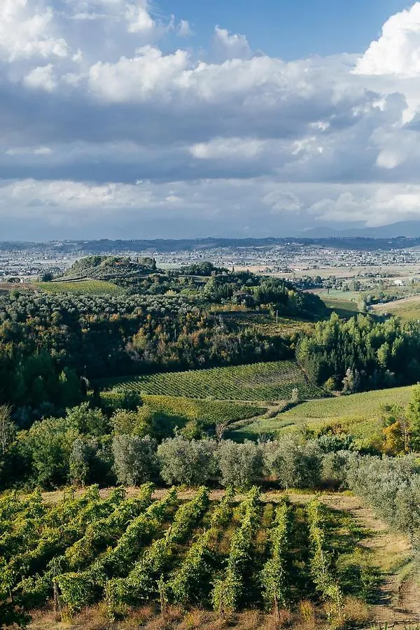 Agriturismo Bellavista San Miniato 0*,